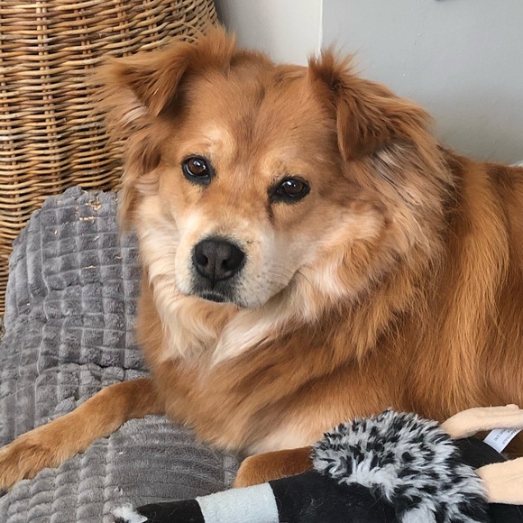 Meet your Posher, Allison - Picture 5 of 16